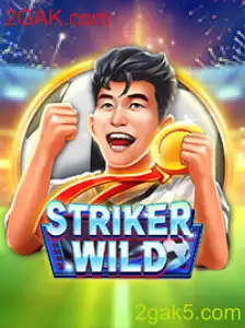 Descubra o Mundo Empolgante de StrikerWILD em 2GAK.com